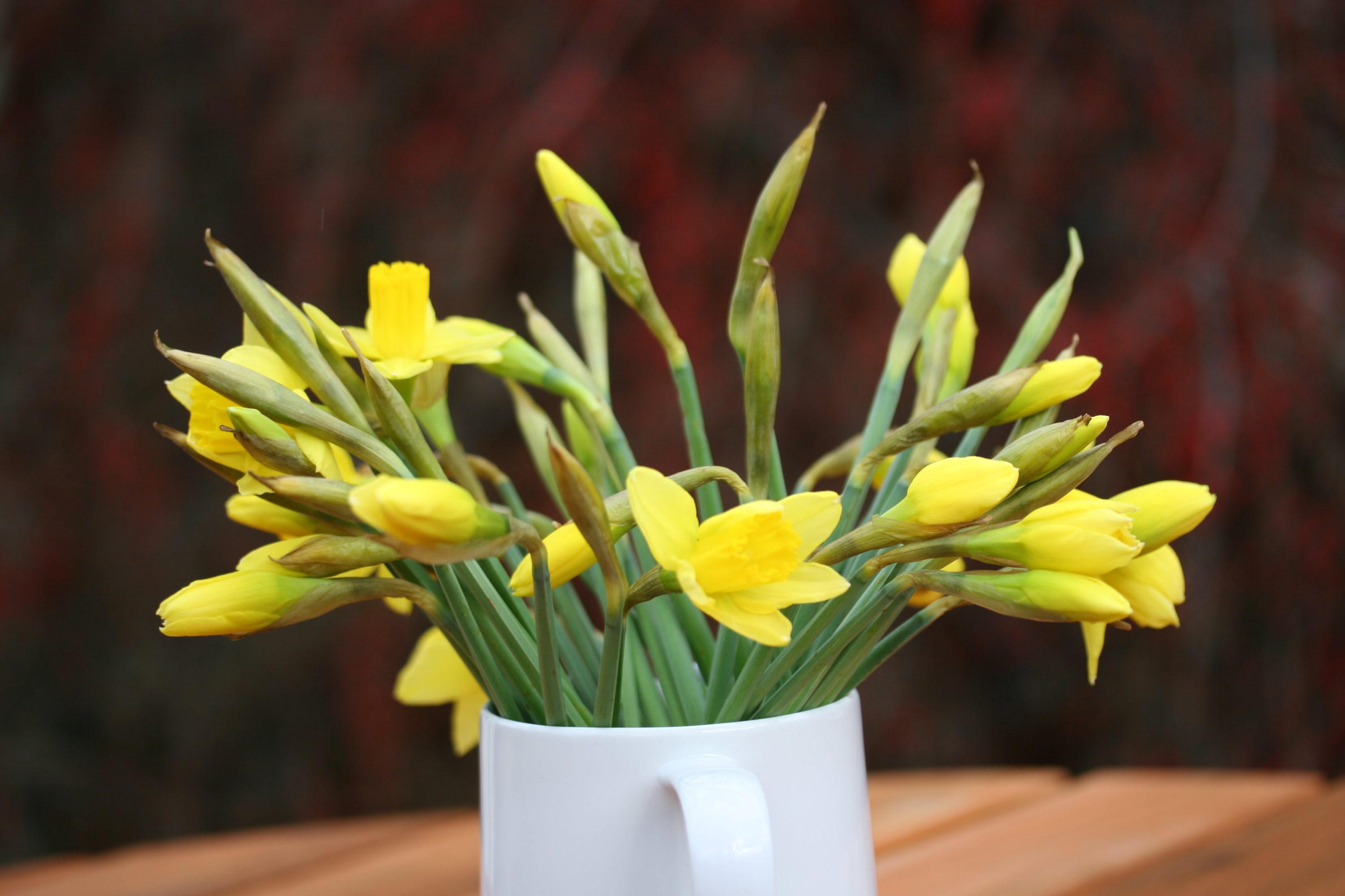 Early May Bank Holiday Weekend Great North Lodges